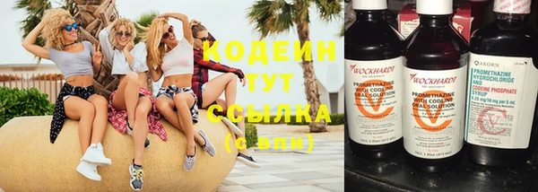 первитин Ладушкин
