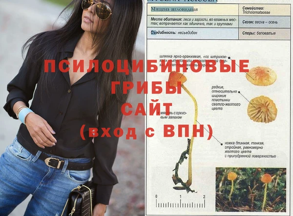 MESCALINE Лабытнанги